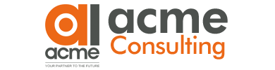 Acme Consulting